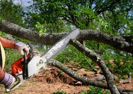 Soil Testing and Treatment in Tubac, AZ